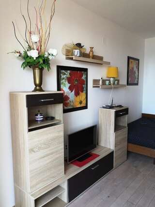 Апартаменты Sunset Apartments Rafailovici Рафаиловичи Апартаменты с 1 спальней-5